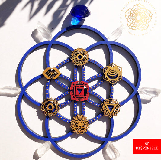 SEMILLA DE LA VIDA 7 CHAKRAS