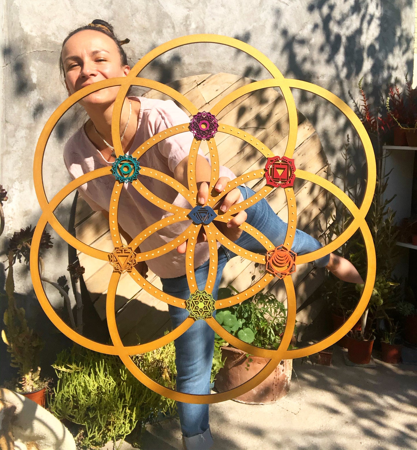 SEMILLA DE LA VIDA 7 CHAKRAS