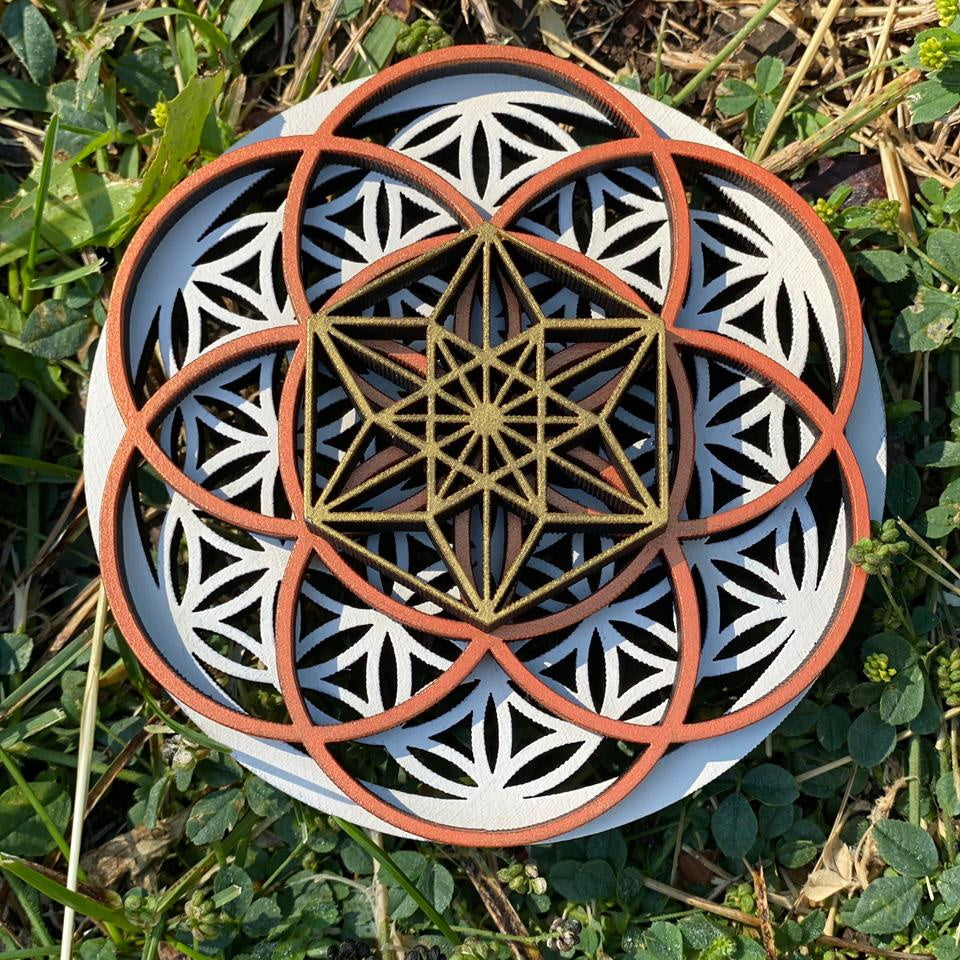 SEMILLA DE LUZ